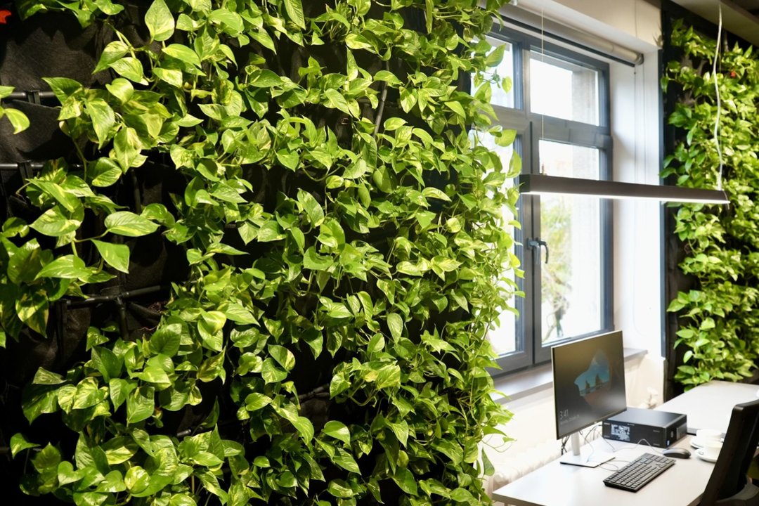 Vilniaus kolegijos Dėstymo meistriškumo centras: kokybiška mokymosi patirtis neatsiranda savaime