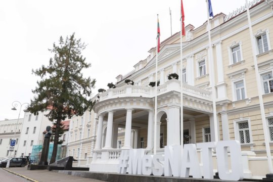 Vyriausybė spręs dėl PVM lengvatos už SAFE paskolos lėšas perkamai gynybos įrangai