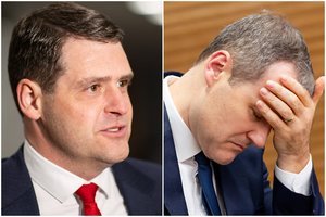 R. Žemaitaitis: G. Palucko istorijoje nematau kažkokio skandalingo atvejo