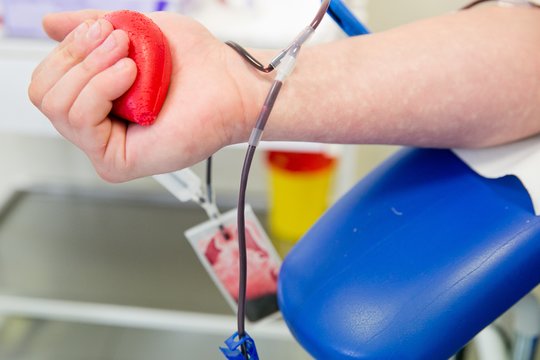 Nuo netinkamo maisto iki vakarėlių: ko reikėtų vengti prieš kraujo donorystę?