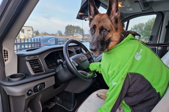 Įsigalioja ilgai lauktas įstatymas: nuo gegužės 1 d. – pokyčiai dėl tokių šunų