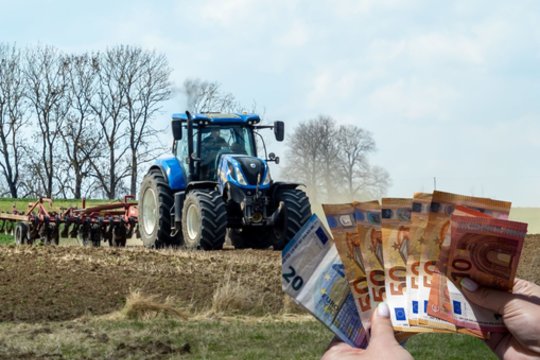 Vyriausybė nuo šalnų ir liūčių nukentėjusiems ūkiams skyrė 320 tūkst. eurų