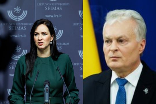I. Ruginienė nepritaria prezidento siūlymui dėl pensijų didinimo: pasirinko kitą kelią