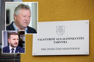 K. Starkevičiaus išpažintis pasėjo naujų klausimų: ar dešimtmečius veikusios korupcinės schemos buvo ignoruotos?
