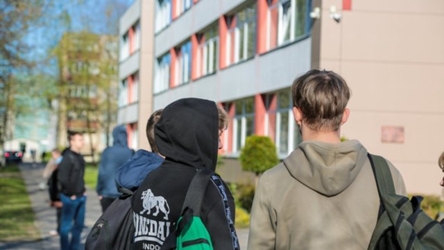 I. Skuodienė, L. Slušnys. M. Petrauskaitė: kodėl smurtauja paaugliai?