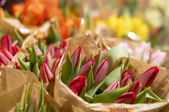 Šventinį ilgąjį savaitgalį skubėkite į „Lidl“: ypatingi pasiūlymai padės ir nustebinti mamas, ir pasilepinti grilio patiekalais