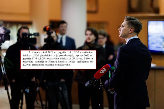 Suvažiavimo išvakarėse aiškėja M. Sinkevičiaus planas dėl pirmininko rinkimų: sieks prasiilginti kadenciją