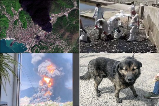 Dėl situacijos Tuapsėje rusai griebiasi už galvos: „Tai ekologinė katastrofa“