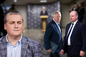 „Grupė turtingų, įtakingų žmonių“: iš S. Malinausko – ne tik naujos detalės, bet ir skambus signalas politikams