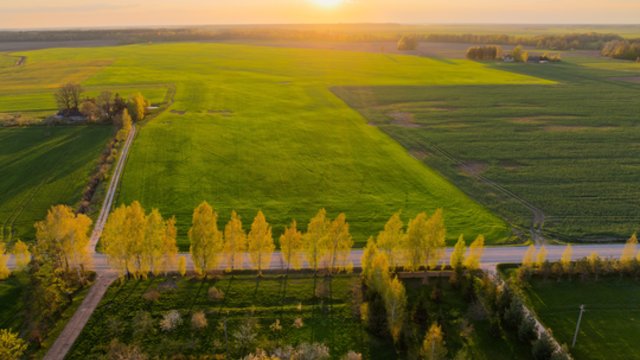Tokios šilumos jau seniai nebuvo: laukia įspūdingas ilgasis savaitgalis