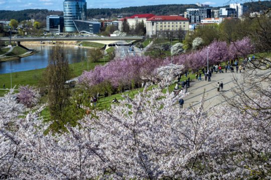 Sinoptikė skelbia puikią žinią dėl savaitgalio: įvardijo ir kada visa tai baigsis