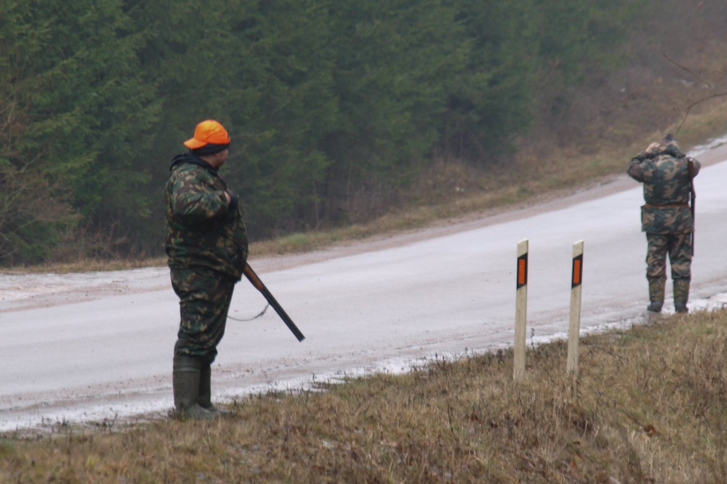 Už sumedžiotus, bet nedeklaruotus šernus medžiotojų klubo „Sakalas“ prezidentui paskaičiuota maždaug 17 tūkst. eurų galimai gamtai padaryta žala.<br> V.Ščiavinsko asociatyvi nuotr.