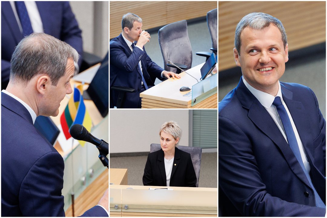  N. Grunskienė ir G. Palucko neliečiamybės klausimas.<br> Lrytas koliažas