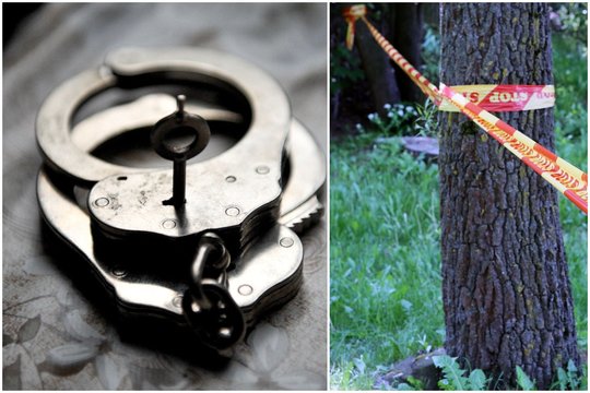 Vilniuje pagrobtas vyras: po 2 savaičių miške rastas kūnas, policija skelbia apie suimtą įtariamąjį