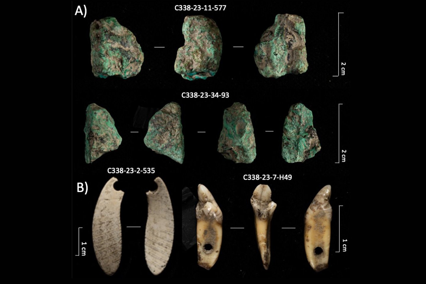Išsamios kai kurių archeologinių liekanų, rastų 338-ajame urve 2021 ir 2023 m. vykdytų kasinėjimų metu, nuotraukos: (A) žali mineralų fragmentai (tikriausiai malachitas), rasti NA3 vietoje; (B) Pakabukai, pagaminti iš Glycimeris sp. (C338-23-2-535) ir lokio danties (C338-23-7-H49), abu rasti NA2.<br> IPHES-CERCA nuotr.