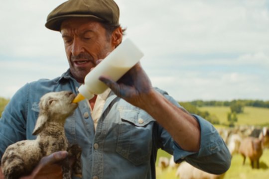 Naujame filme „Avys detektyvės“ – žinomų žmonių balsai: išgirsime ir Moniką Liu