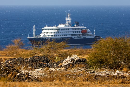 Hantavirusu užsikrėtęs kruizinio laivo keleivis gydomas Ciuriche