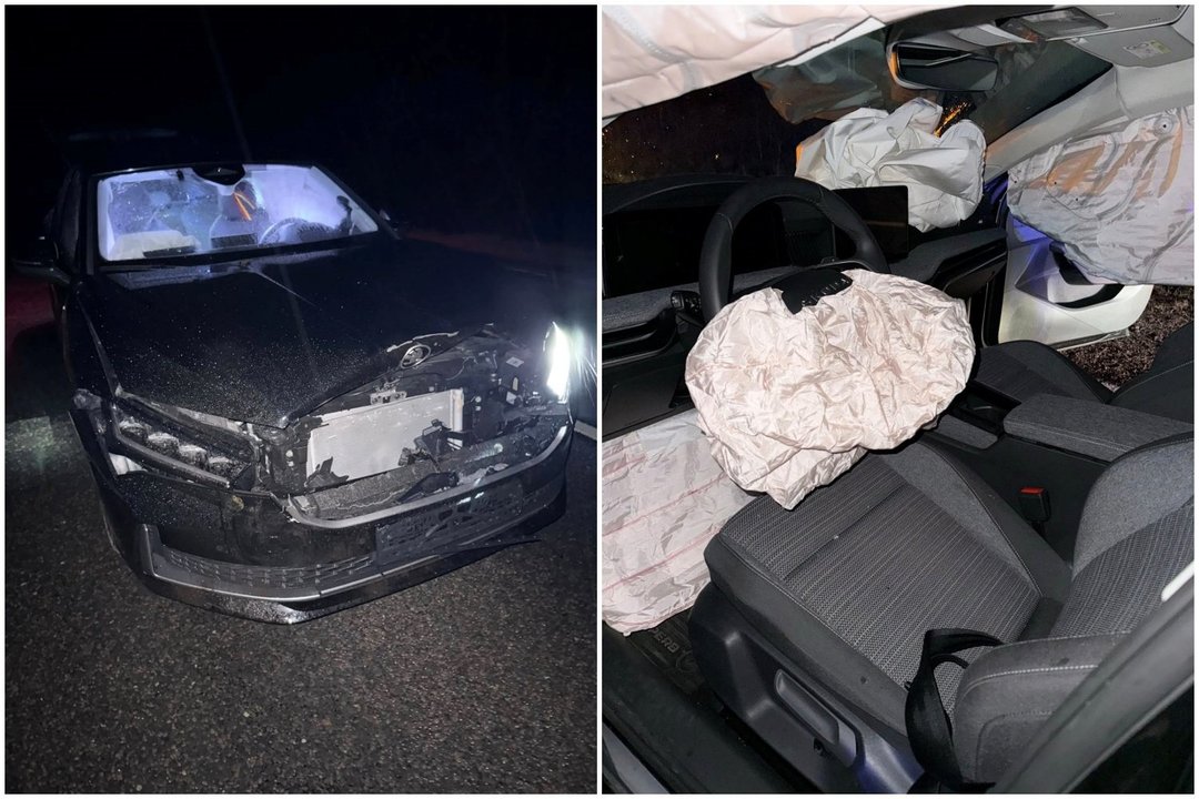 Vilniaus rajono mero R. Duchnevičiaus kelionę į oro uostą sutrikdė šernas – gyvūnas žuvo, automobilis sumaitotas