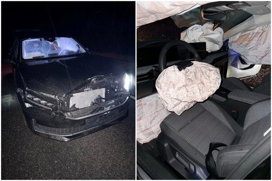 Vilniaus rajono mero R. Duchnevičiaus kelionę į oro uostą sutrikdė šernas – gyvūnas žuvo, automobilis sumaitotas