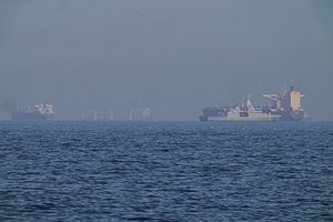 R. Kaunas užsiminė, koks galėtų būti Lietuvos indėlis Hormuzo sąsiauryje