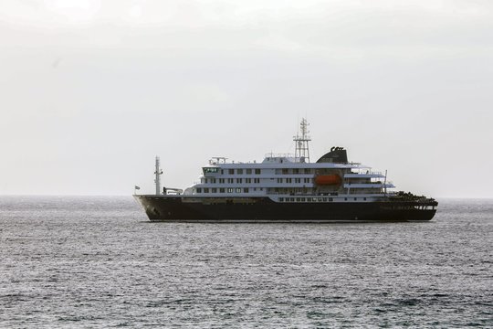 Tiriama, kaip olandų pora mirė nuo hantaviruso: apkeliavo ne vieną šalį