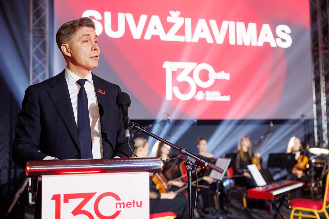 LSDP poll: potential voters' opinions on coalition with Nemuno Aušra split into two camps