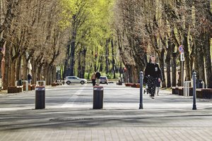 Automobilių šioje miesto vietoje neliko: karaliaus pėstieji ir dviratininkai
