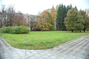 Vilnius siekė išpirkti sklypą ir išsaugoti medžius: teismas pasakė „ne“