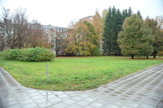 Vilnius siekė išpirkti sklypą ir išsaugoti medžius: teismas pasakė „ne“