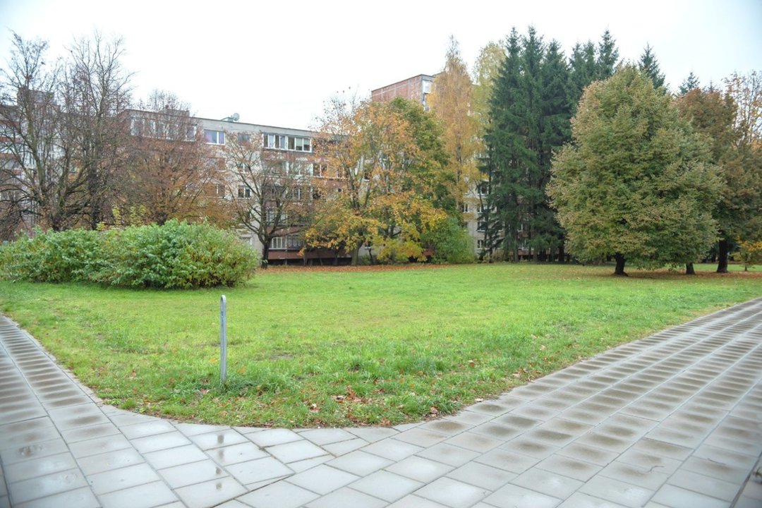 Vilnius siekė išpirkti sklypą ir išsaugoti medžius: teismas pasakė „ne“