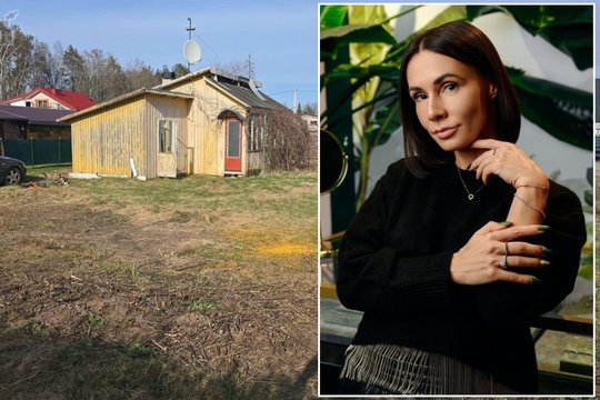 V. Montvydienė parduoda gamtos apsuptyje esantį sklypą Vilniuje: prašo penkiaženklės sumos