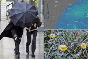 Vienur pliaups, kitur kandžiosis šalnos: skelbia, kur ko tikėtis