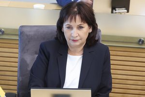 Ministrė J. Zailskienė apie kritiką rengti diskoteką gimstamumui didinti: pasityčioti esame meistrai
