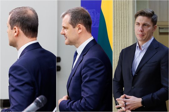 M. Sinkevičius: G. Palucko pasitraukimas iš politikos būtų palankiausias scenarijus partijai
