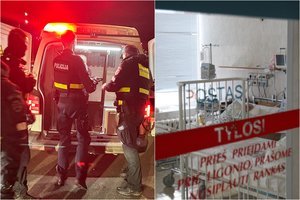 Jauno monstro iš Raseinių portretas: 2 metų mergaitei netekus inksto išlindo daugiau šiurpą keliančių istorijų