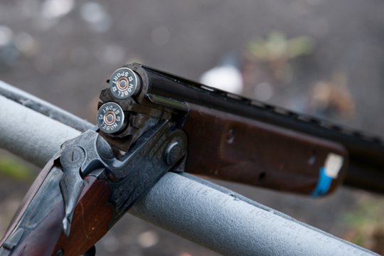 Prienuose girtas vyras policijai atidavė nelegalų ginklą