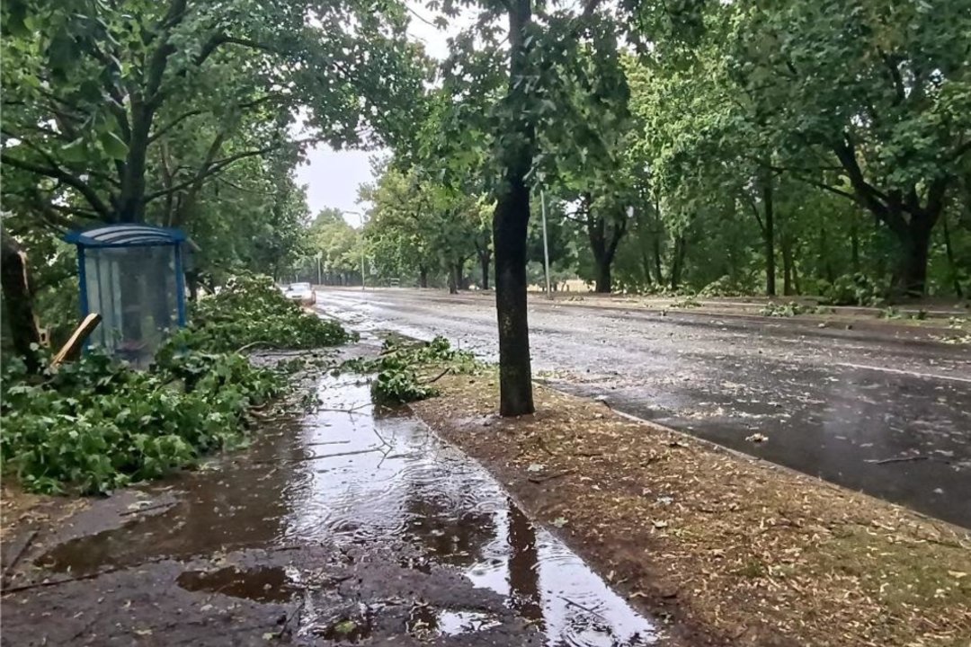 Lietingą ir vėjuotą šeštadienį ant kelių virto medžiai ir šakos