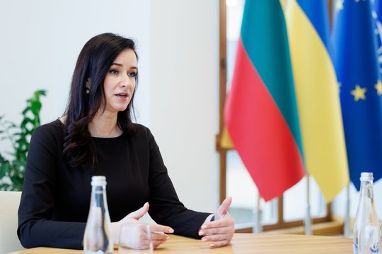 I. Ruginienė apie G. Nausėdos kritiką Žemės ūkio ir Aplinkos ministerijoms: Vyriausybė dirba sklandžiai