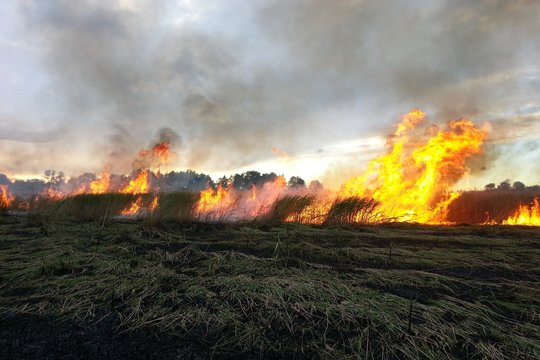 Savaitgalį ugniagesiai darbo nestokojo – siautė vėjas ir ugnis