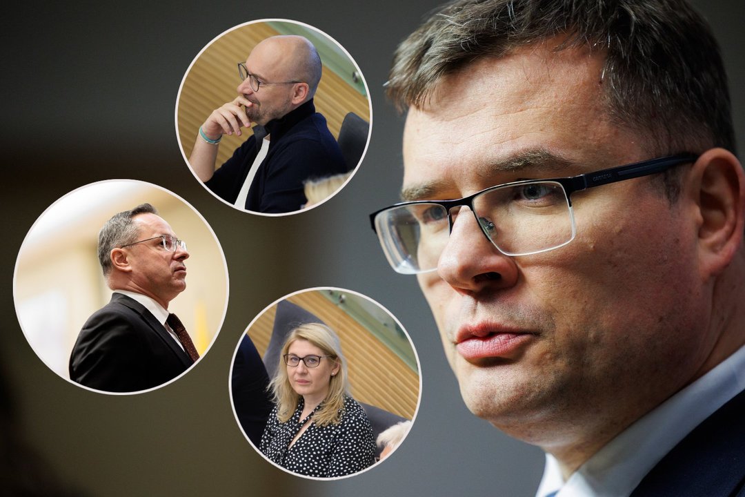 Po kritikos partijai M. Maldeikis atliko jam skirtą užduotį, bet Ž. Pavilionis vis tiek jį sumalė į miltus