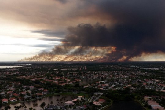 Virš Floridos užfiksuotas didžiulis dūmų stulpas: gaisrai išdegino tūkstančius hektarų žemės