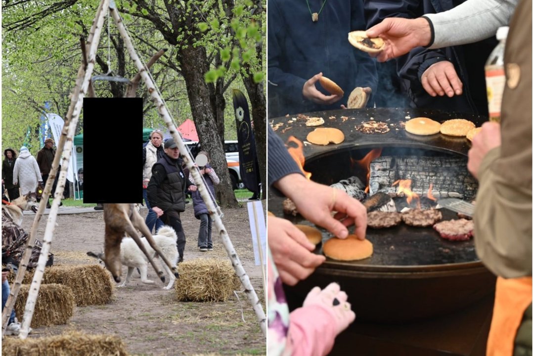 Telšių medžiotojų šventėje pašiurpino išskrosta stirna: „Tokio dalyko nesu matęs“