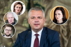 Paaiškėjus skandalingoms detalėms apie I. Ruginienės konsultanto verslą, opozicija neketina tylėti