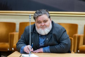 Į M. Maldeikio pusę stojo dar vienas konservatorius: kritikos TS-LKD pažėrė ir A. Navickas
