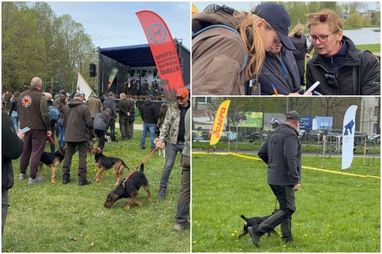 Po medžiotojų šventės Telšiuose – tyrimas: atsakomybė gresia ir organizatoriams, ir dalyviams
