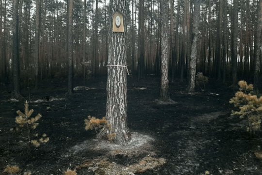 Lenkijoje miško gaisras sunaikino viską, išskyrus koplytėlę: prakalbo apie stebuklą ir ženklą