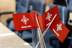 „Nemuno aušros“ advokatas: VRK ėmėsi teismo vaidmens