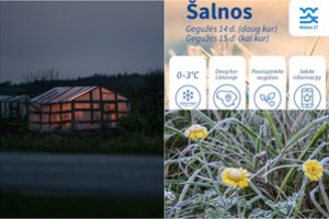 Iš tarnybos – žinia dėl artimiausių naktų: įspėja, kur šalnų tikimybė didžiausia