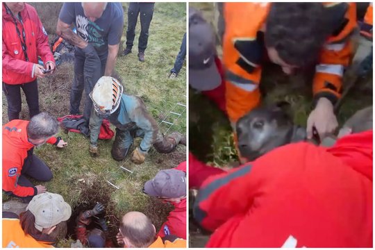 Į 6 m gylio duobę įkritęs šuo po žeme pateko į mirtinus spąstus