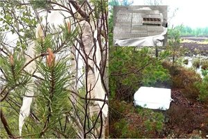 Pasieniečiai perėmė iš Baltarusijos atskridusį balioną su kroviniu ir sulaikė jo pasiimti atėjusį vyrą